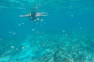 Look at all these fish