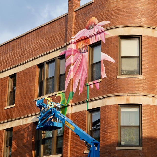 Paintin some flowers