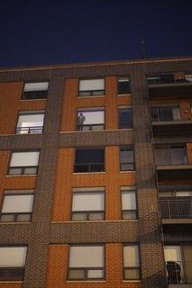 Art - Look at this guy