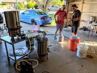 Homebrew - Hops in