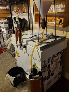 Homebrew - Fillin that keg