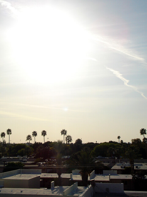 From the Roof of the Clarendon