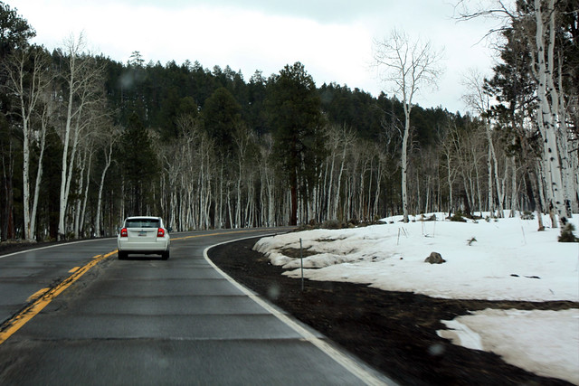 Driving back from the grand canyon