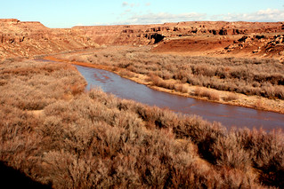 Arizona - The River Behind The Cameron Trading Post