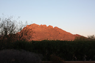 Mountain view from Cliff's Yard