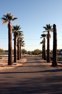 My Uncle Cliff's Driveway