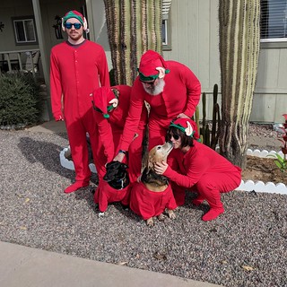 Rilee - Gettin those dogs ready for a photo