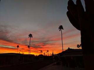 Sunset - Arizona trailer park sunset