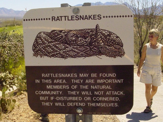 Rattlesnakes