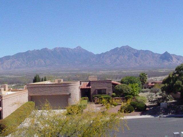 Looking out my grandparents' back yard