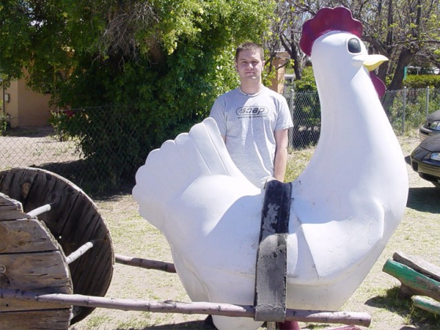 Apparently there is a picture of me sitting on this chicken when I was like 3