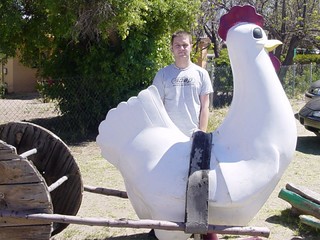 Apparently there is a picture of me sitting on this chicken when I was like 3