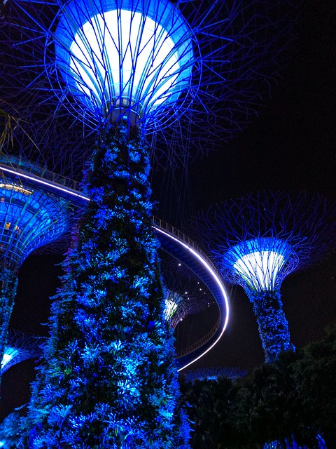 The Gardens by the Bay are amazing at night