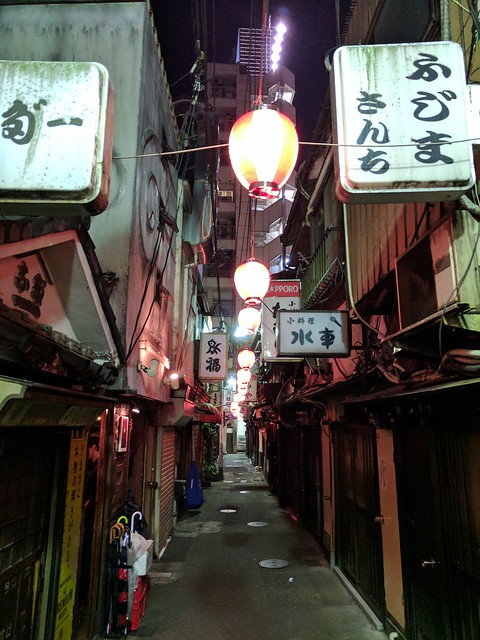 Some of the alleys in Tokyo have these tiny, tiny bars. They were pretty rad