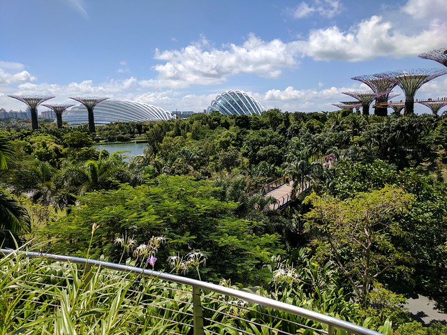 The gardens by the bay