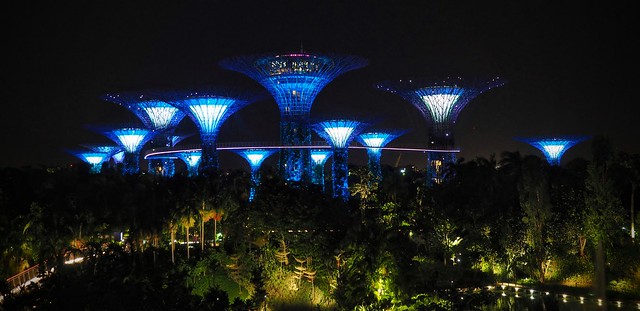 Supertrees at night