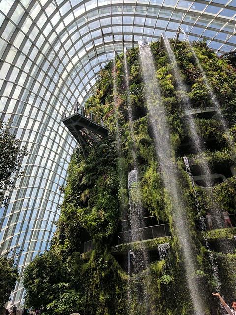 A botanical waterfall at the Gardens by the Bay