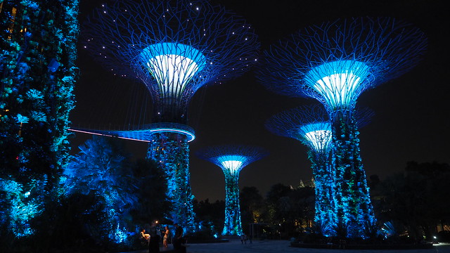 Gardens by the Bay by night
