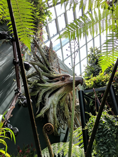 This eagle head was carved out of a stump and it was awesome