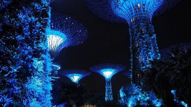 Supertrees at night