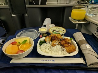 After sleeping for some hours, the flight attendants came around with Katsu chicken for breakfast. It was tasty