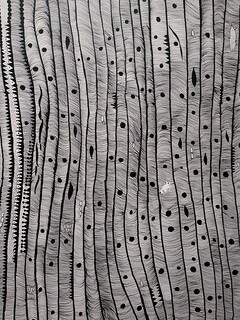 Art - Another interesting b/w piece at the Yayoi exhibit