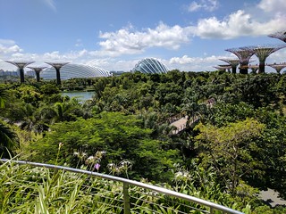 The gardens by the bay