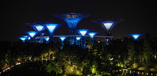Supertrees at night