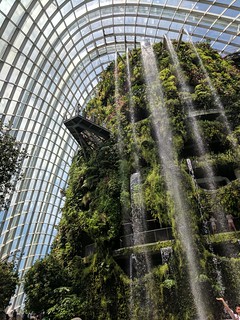 A botanical waterfall at the Gardens by the Bay