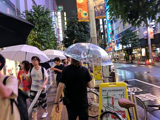 Harper Reed - Everywhere in Tokyo has or sells super cheap umbrellas. They are handy.