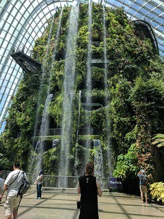 The waterfalls inside the botanical gardens