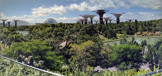 The gardens by the bay