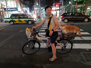 Bicycle - Look at this Shiba Inu