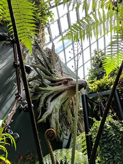 Art - This eagle head was carved out of a stump and it was awesome