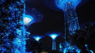 Supertrees at night