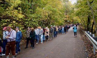 Line into August Schell