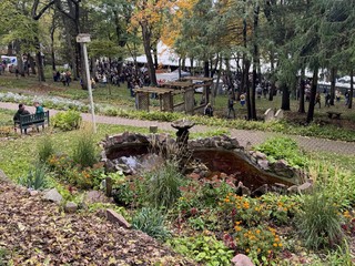 Never new there was a koi pond there...