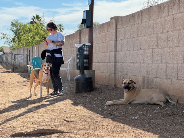 Hangin at the dog park