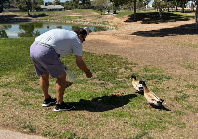 The ducks love Marty