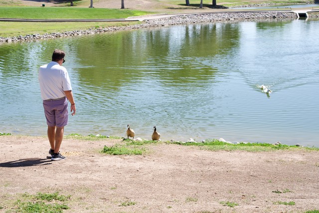 Marty and his friends