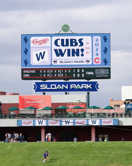 Cubs Win!