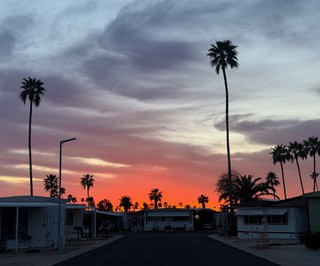 Sunset - Citrus Gardens