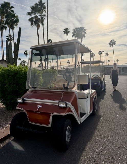 Tesla Golf Cart