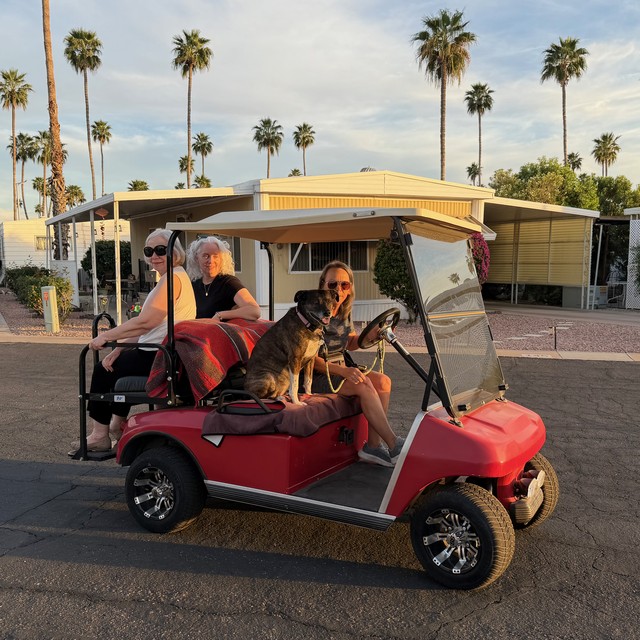 Sunset cruise to the dog park