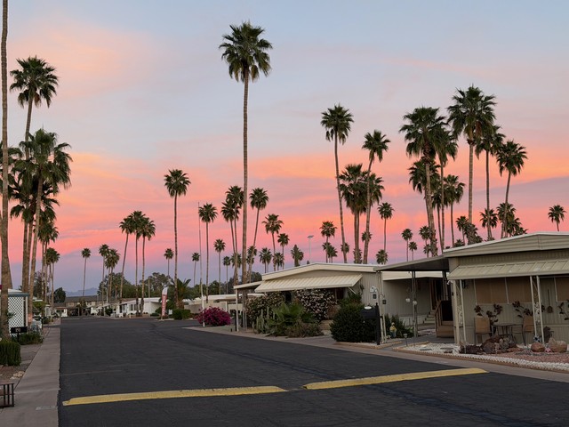 Another pretty sunset at Citrus Gardens