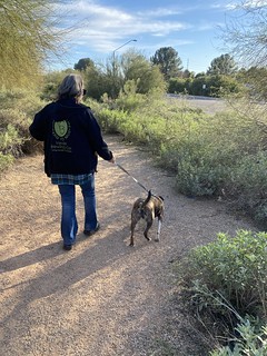 Gemma - Lookin for them bunnies