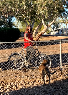 Biking - Dog park stuff