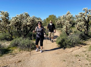 Hiking - Nice place for a stroll