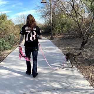 Gemma - Walkin this dog