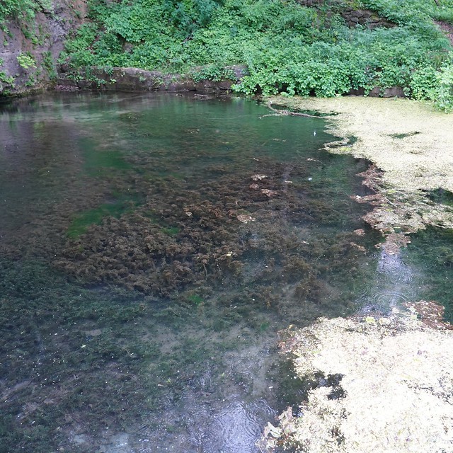Some very clear spring water